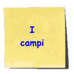 I campi